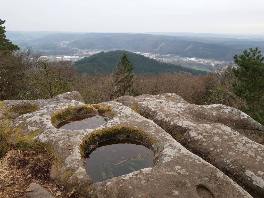 Proximité de la tête des Cuveaux de Remiremont Vosges